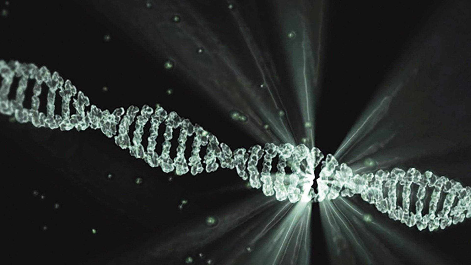 News-Entrepreneurial DNA. Do You Have It?-DEVICI